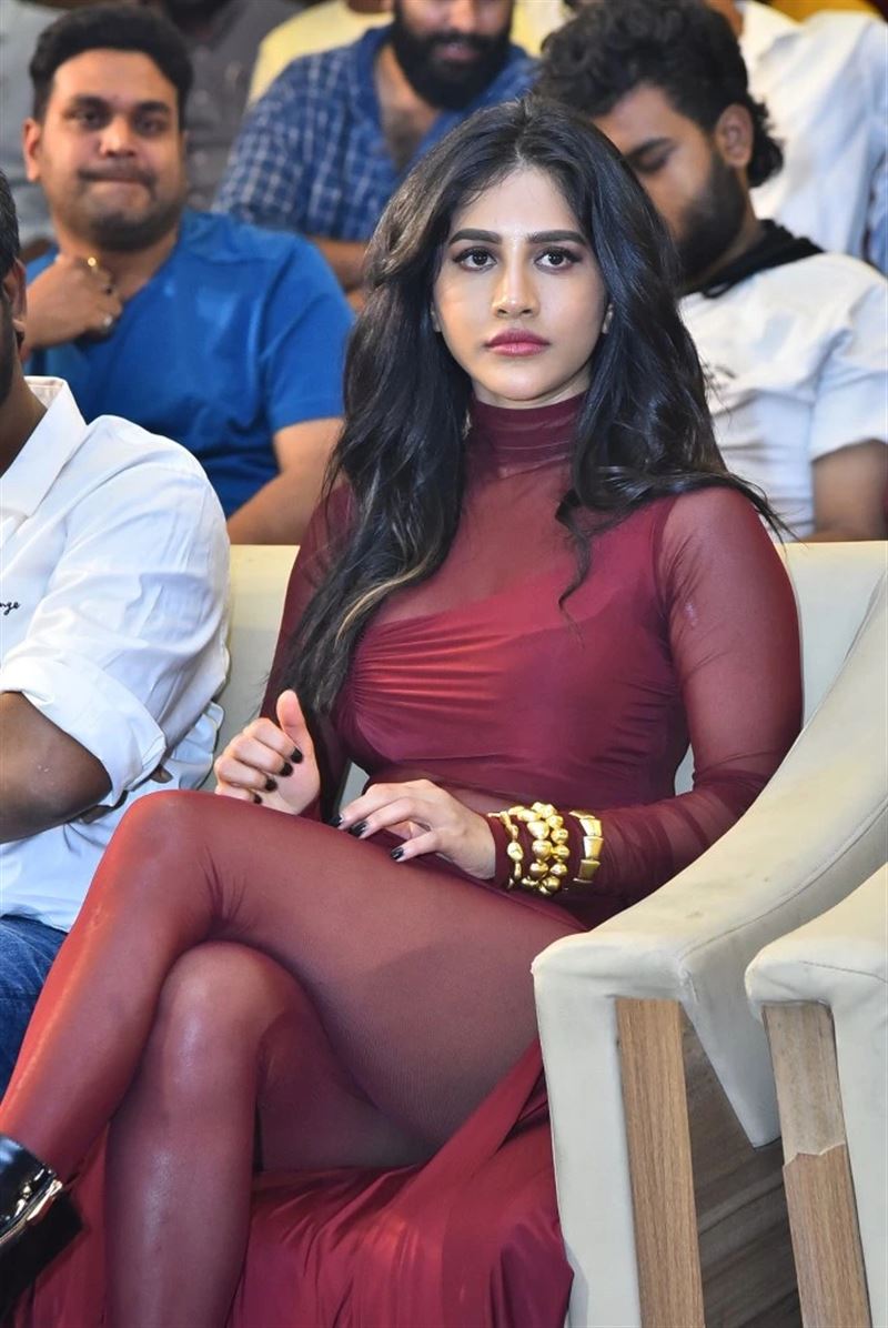 Telugu Actress Nabha Natesh at Darling Movie Title Launch